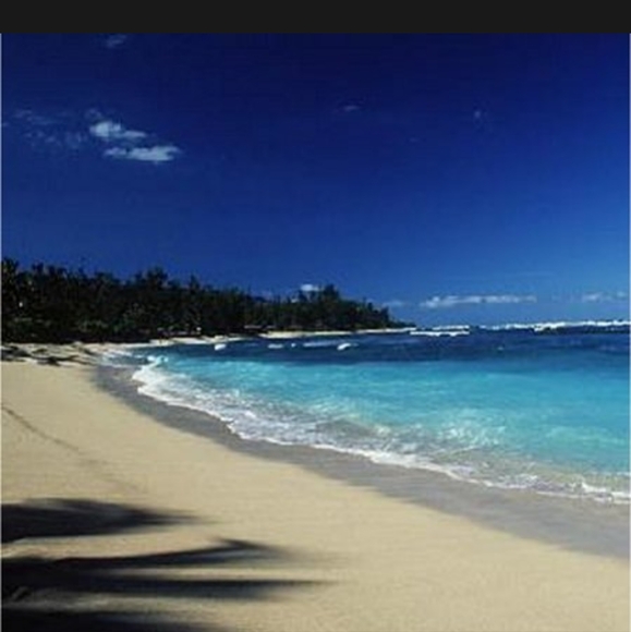 Box Of 1oz. & 2oz. Fragrance Oils For Soap & Candle Making (35 Full Bottles) - Picture 12 of 16